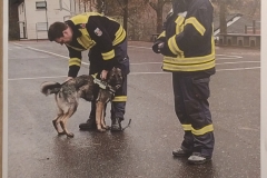Rettungshund